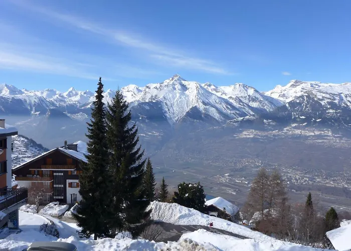 Diablerets D 048 - Mountain 4 Pers Appartement *