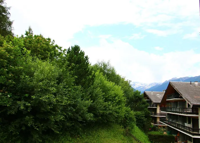 Diablerets D 048 - Mountain 4 Pers